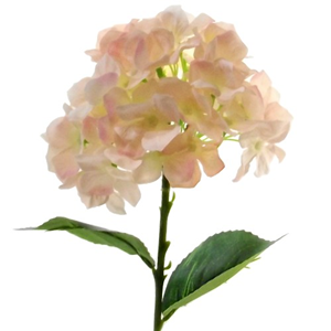 Decoflorall Hortensia 45cm. SINGLE HYDRANGEA Peach  Hortensia Peach