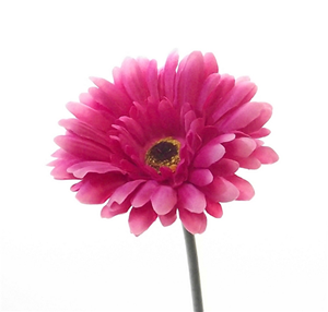 Decoflorall Gerbera 54 cm. FS Hot Pink Gerbera