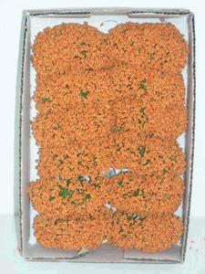 Decoflorall Fieldberries Oranje doosje voor bloemschikken Fieldberries Ro