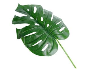 Decoflorall Monstera blad Monsterablad 24*40cm. /st - 24*40 VT Wonen Botanical