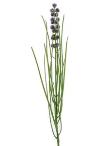 Decoflorall Grasbundel BLAUW bloeiend 50 cm/bundel Zijdebloem  