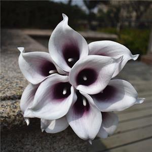 Decoflorall Calla Real Touch Plum Center +/- 7 cm. en 37cm lang. / st Calla Real Touch +/- 7 cm.