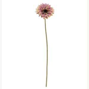 Decoflorall Zijde Gerbera 53cm SINGLE GERBERA DRY COLOUR OLD PINK/ st aparte kleur Zijde Gerbera oud roze