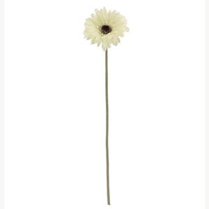 Decoflorall Zijde Gerbera 53cm SINGLE GERBERA DRY COLOUR CREAM/ st aparte kleur Zijde Gerbera  