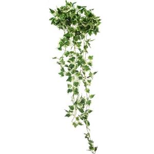 Decoflorall Hanger vuller Hedera bont kleinere blaadjes 90cm Groene hangplanten