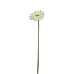 Decoflorall Gerbera Spicky 34 cm Ivoorwit Gerbera