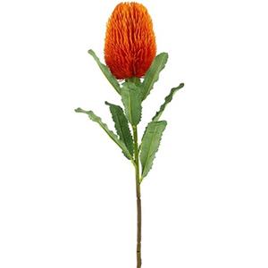 Decoflorall Zijdebloem 65cm LARGE BANKSIA ORANGE Exotic