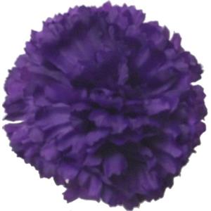Decoflorall Anjerpick Paars / stuk Anjerpick