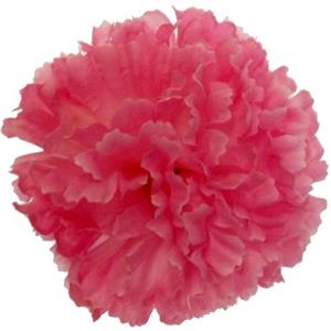 Decoflorall Anjerpick Roze  / stuk Anjerpick