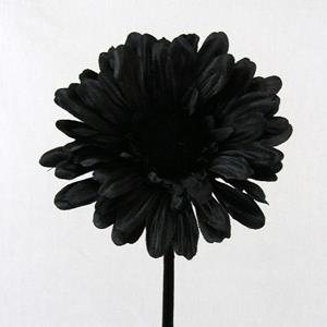 Decoflorall Gerbera 54 cm Black, Zwart Gerbera