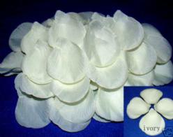 Decoflorall Blad zijde blaadjes Ivory rozenblaadjes / +/- 100 Blad zijde blaadjes Ivory