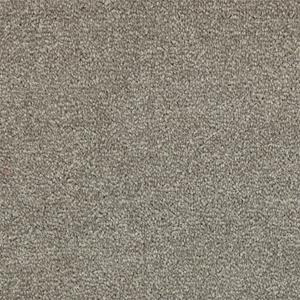 Van Heugten Tapijttegels  50x50cm -  -  -  - 