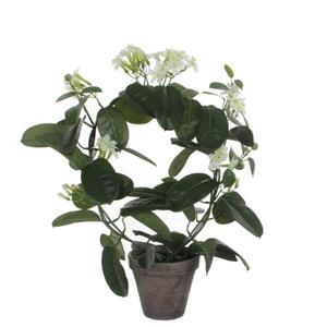 Mica Decorations Kunstplant - Stephanotis Bruidsbloem - Wit - 50 Cm