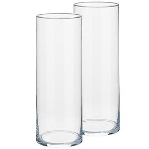 Arte r Set van 2x stuks cilindervazen/bloemenvazen van glas 12 x 30 cm -