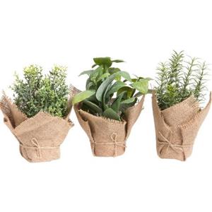 Botanic-Haus Kunst-potplanten Kruiden (set, 3 stuks)