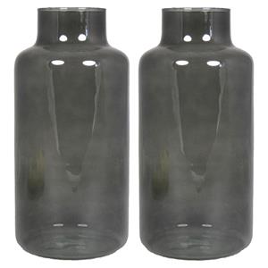 Floran Set van 2x bloemenvazen - smoke grijs/transparant glas - H30 x D15 cm -