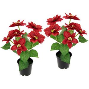 I.GE.A. Kunstplant Kerstster in een pot, set van 2