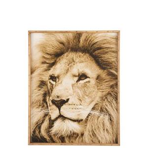 J-Line   Wanddecoratie Leeuw Hout Glas Bruin - 100x81 CM