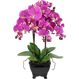 I.GE.A. Kunstbloem Künstliche Orchidee in Schale Phalaenopsis Kunstblume Blume (1 stuk)