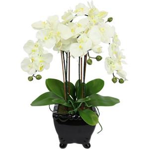 I.GE.A. Kunstbloem Künstliche Orchidee in Schale Phalaenopsis Kunstblume Blume (1 stuk)