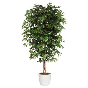 Creativ green Kunstplant Ficus Benjamini (1 stuk)