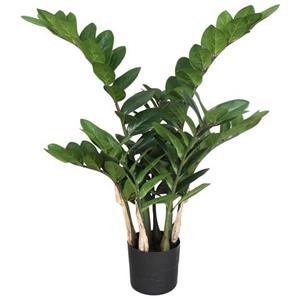 Creativ green Kunstplant Zamifolia (1 stuk)