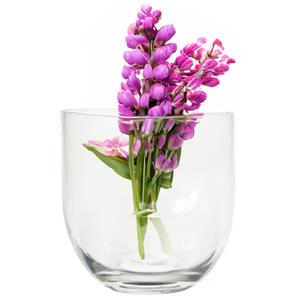 Merkloos Bloemenvaas Karel - helder transparant glas - D19 x H19 cm - decoratieve vaas - bloemen/takken -