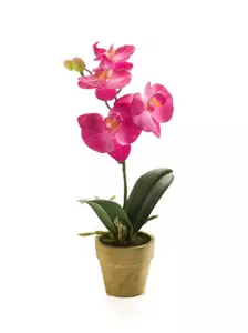 Emerald Kunstplant Phalaenopsis Mini Lila - 25cm 