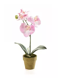 Emerald Kunstplant Phalaenopsis Mini Roze - 25cm 