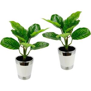 I.GE.A. Kunstplant Maranthusplant in pot (set, 2 stuks)