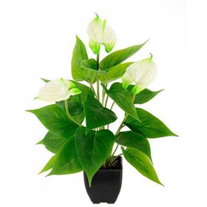 I.GE.A. Kunstbloem Anthuriumplant