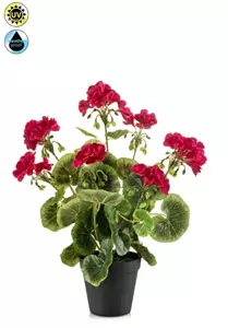 Emerald Kunstplant Geranium in pot UV bestendig Beauty - 38cm