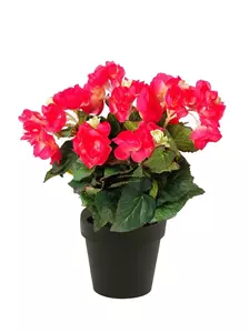 Emerald Kunstplant Begonia Roze in pot - 11cm