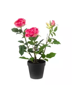 Emerald Kunstplant Roos in pot fuchsia - 40cm