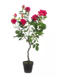 Emerald Kunstplant Roos op stam Roze - 85cm