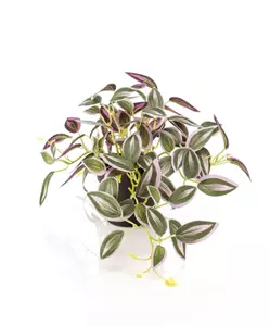 Emerald Kunstplant Tradescantia Groen Paars in pot - 19cm