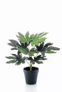 Emerald Kunstplant Fatsia in pot - 30cm