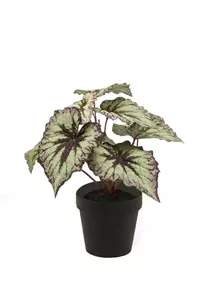 Emerald Kunstplant Begonia Grijs Paars in pot - 25cm