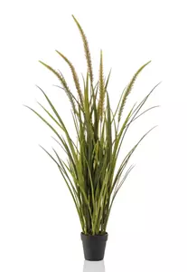 Emerald Kunstplant Foxtail Gras - 115cm