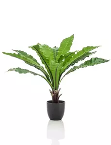 Emerald Kunstplant Asplenium Varen - 75cm