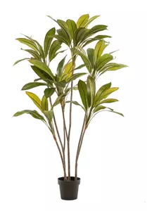 Emerald Kunstplant Cordyline - 160cm