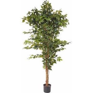 Creativ green Kunstplant Ficus Benjamini (1 stuk)