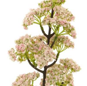 Decoratietakken Berkenstam met stelschroef vanaf 200 cm