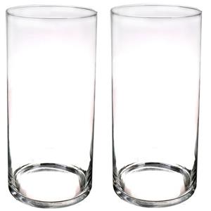 Merkloos Set van 2x stuks cilinder vaas/vazen van glas x 19 cm transparant -