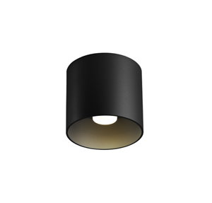 Wever & Ducre  Ray 1.0 LED Spot