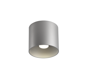 Wever & Ducre  Ray 1.0 LED Spot