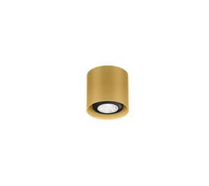 Wever & Ducre  Ray Mini 1.0 Spot