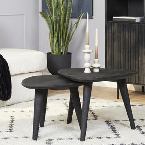 Het Steigerhouthuis Salontafel set van 2 Omaha Black