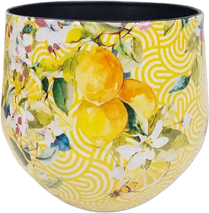Vaas Citrus 24cm
