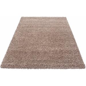 Ayyildiz Teppiche Hochflor-Teppich "Dream Shaggy", rechteckig